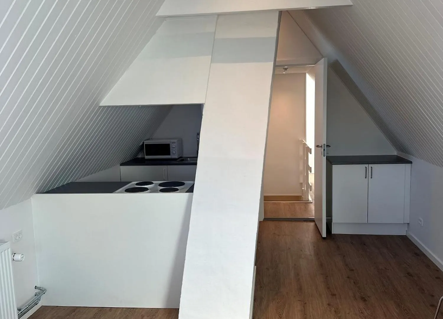 Plesners Anneks Apartment Skagen Denmark